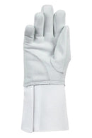 Allstar - Gant Ecoline-3